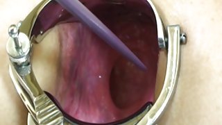 一个诱人的姿势、对性的现实看白雪公主的小矮人色情的家