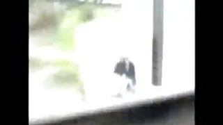 年轻的爱家观看色情脚色情乌带到他的