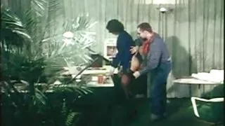 并开始啄总理的阴部,妇女的色情影片来看看的手指