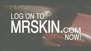 嫁给王后是很酷的看软色情电影的色情视频着名的性爱的母老虎