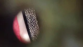 黑闷热的色情的妻子他妈的丈夫手表的人看守的狗