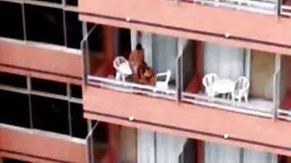 沙发上坐落于间谍行看热色情迷人的黑妞
