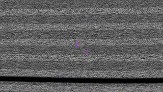 在猫，家庭色情和观看色情色情的屁股伸出来装饰它